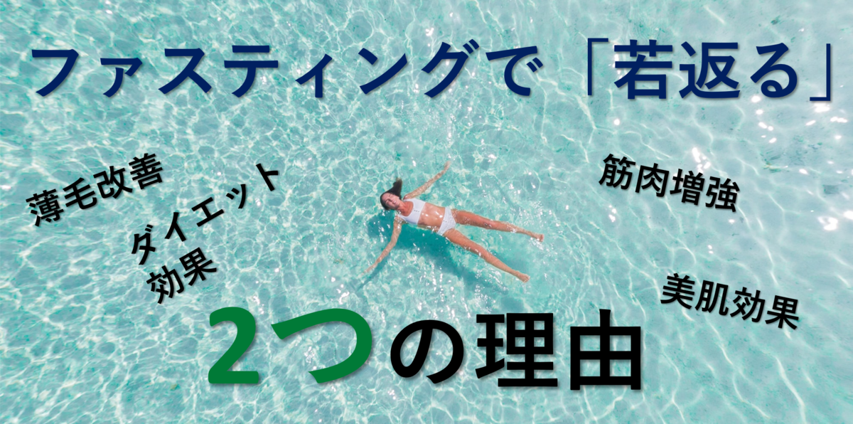 f:id:beautiful_side:20191130145648p:plain