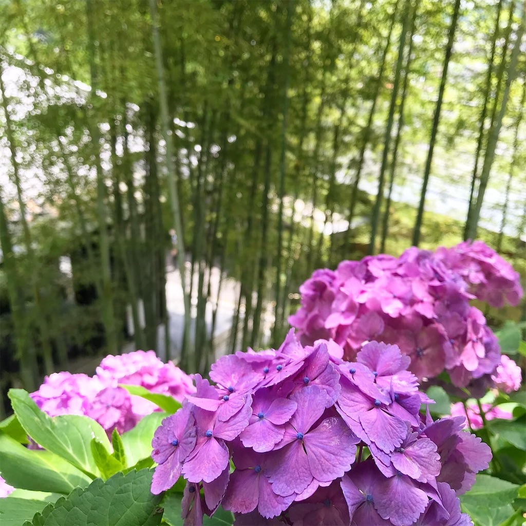 f:id:beautifuldream:20210619191635j:image