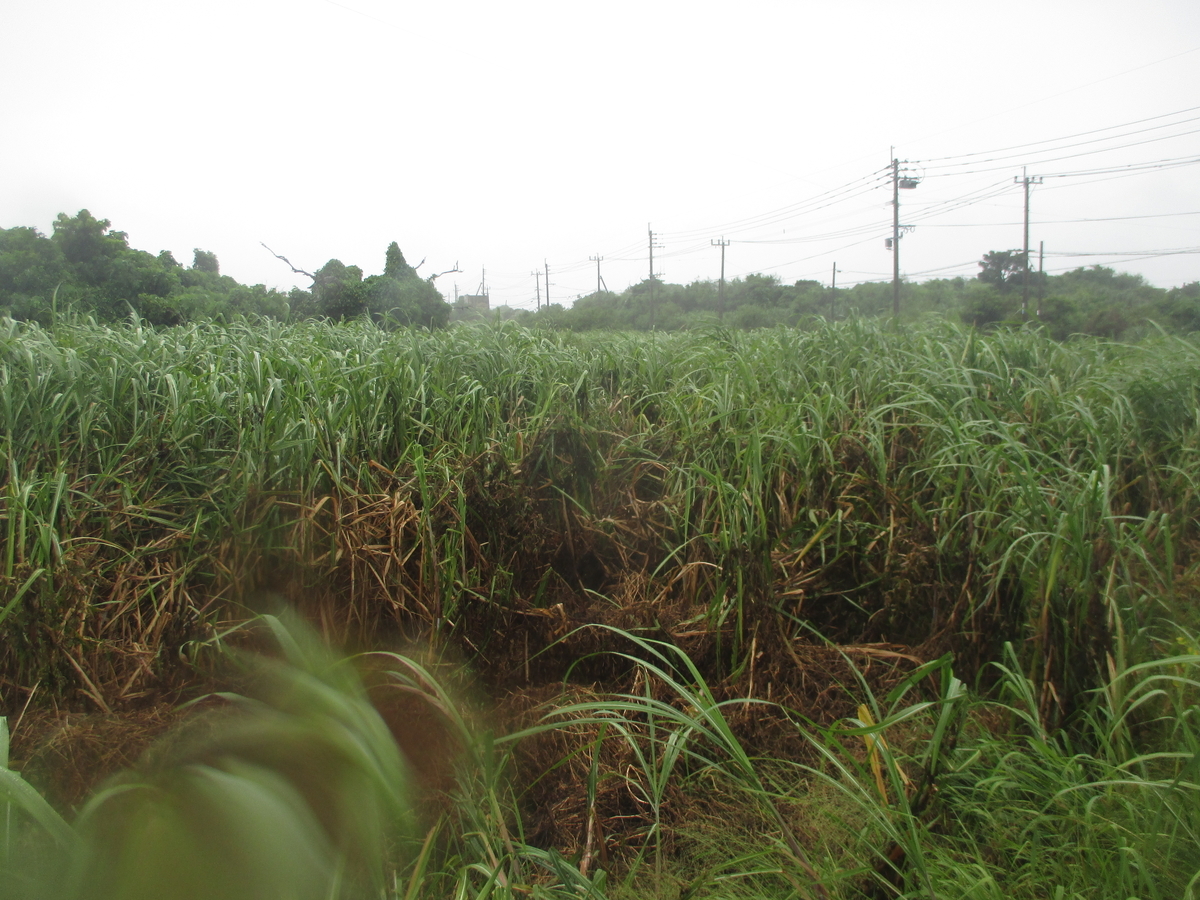 f:id:beautifuldreaman:20190902204817j:plain