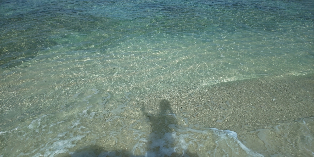 f:id:beautifuldreaman:20191105193123j:plain
