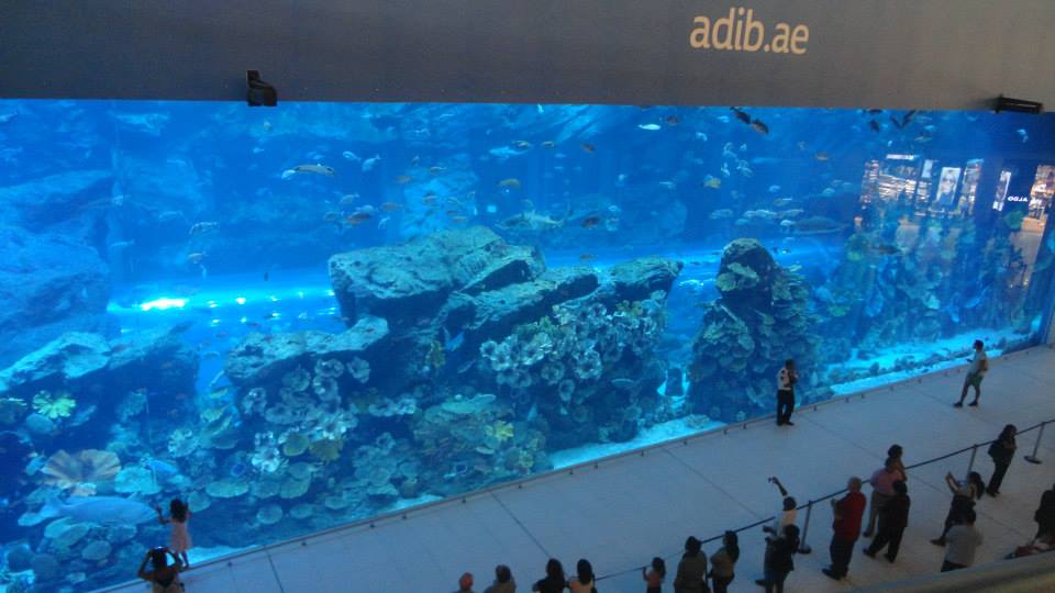 f:id:beautifuleveryday:20180330125043j:plain f:id:beautifuleveryday:20180330125043j:plain