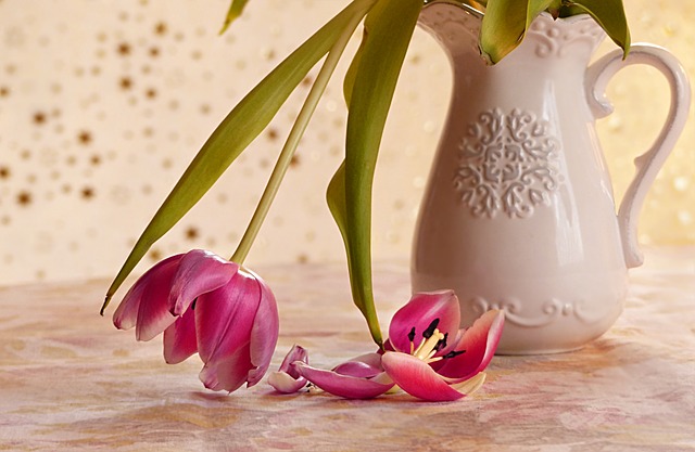 f:id:beautifuleveryday:20180403101922j:plain f:id:beautifuleveryday:20180403101922j:plain