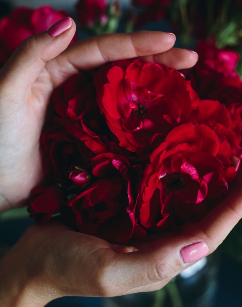 f:id:beautifuleveryday:20180712133933j:plain f:id:beautifuleveryday:20180712133933j:plain
