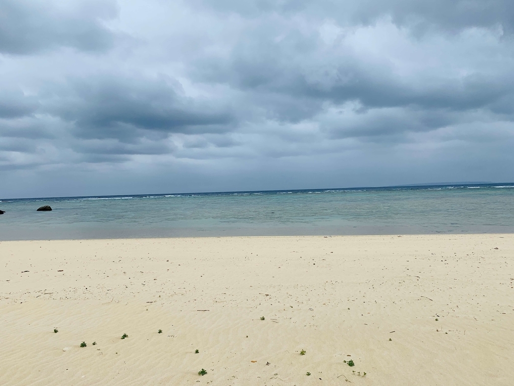 f:id:beautifuleveryday:20190219102123j:plain f:id:beautifuleveryday:20190219102123j:plain