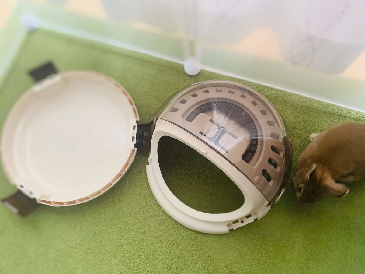 f:id:beautifuleveryday:20190531094646j:plain f:id:beautifuleveryday:20190531094646j:plain