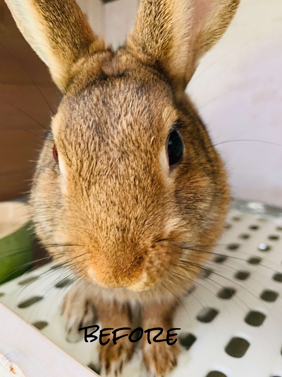 f:id:beautifuleveryday:20190801103512j:plain f:id:beautifuleveryday:20190801103512j:plain