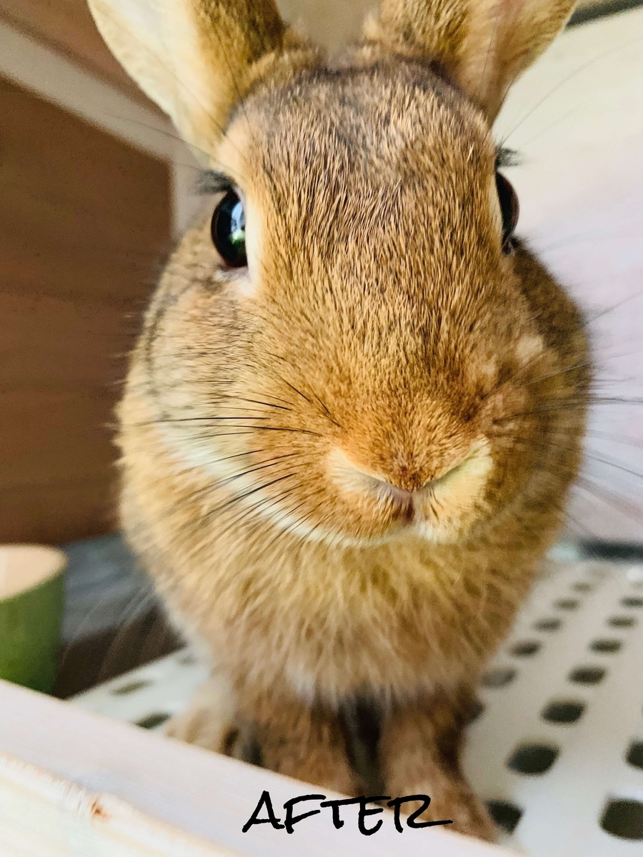 f:id:beautifuleveryday:20190801103804j:plain f:id:beautifuleveryday:20190801103804j:plain