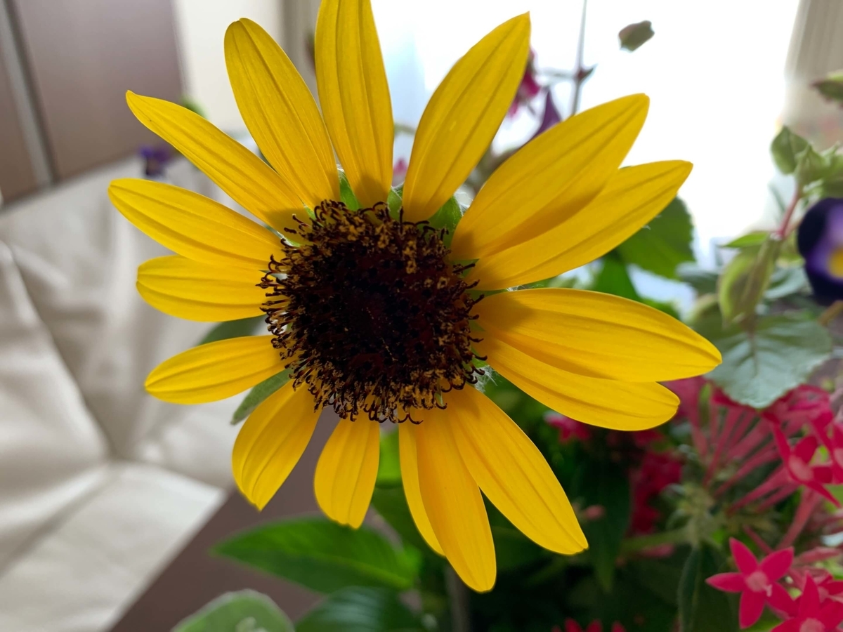 f:id:beautifuleveryday:20190912090040j:plain f:id:beautifuleveryday:20190912090040j:plain