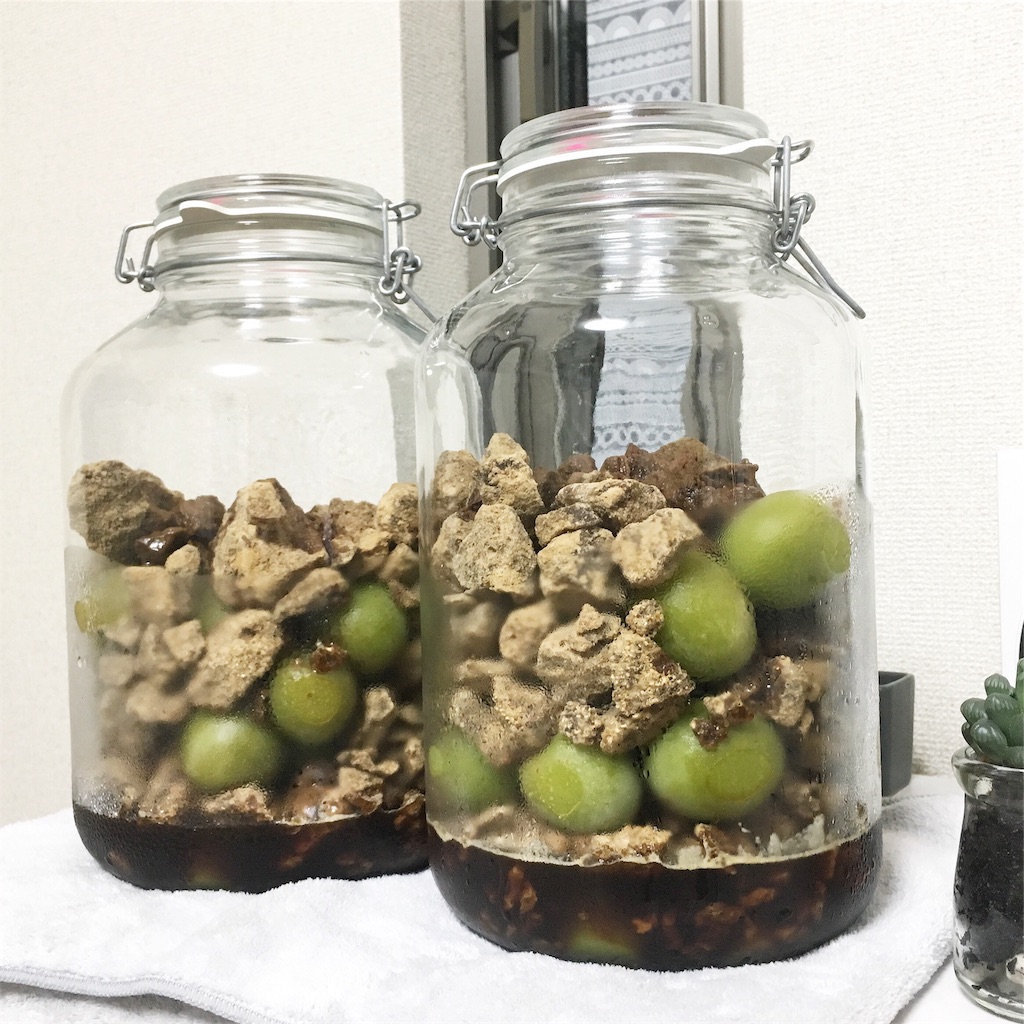 f:id:beautifulmnd:20190610001334j:image