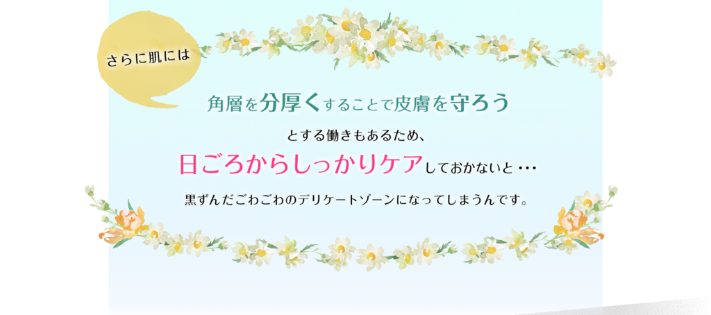 f:id:beauty-0:20180222103811p:plain