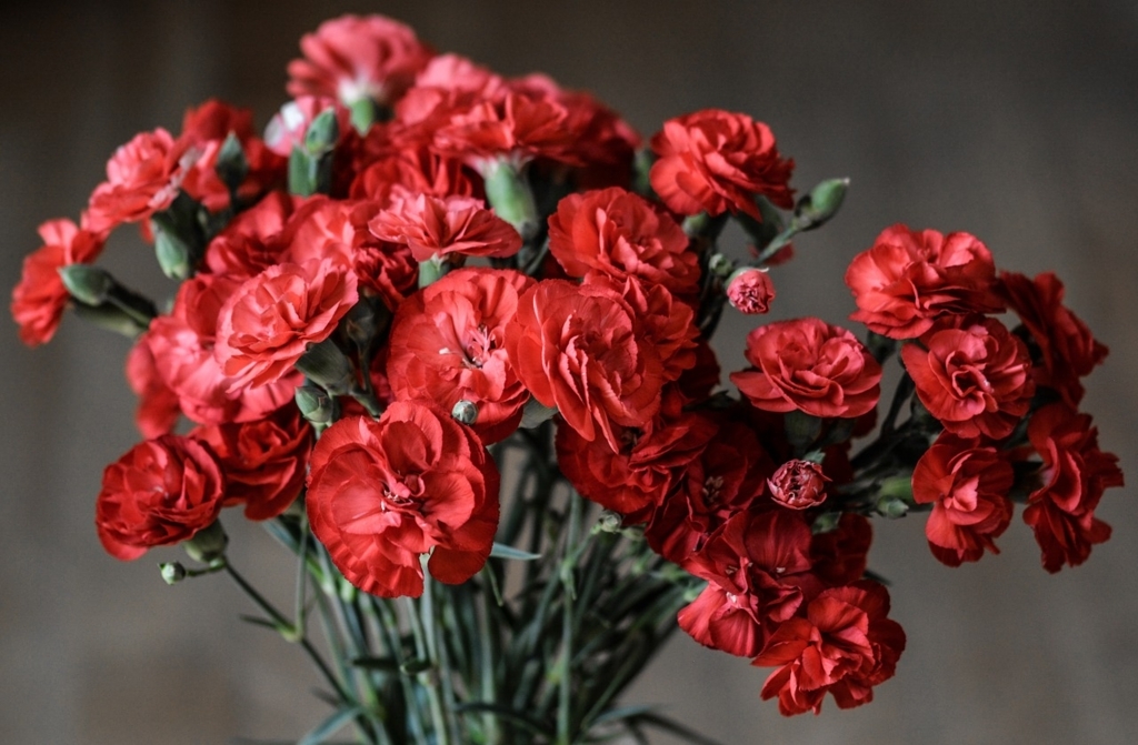f:id:beauty-0:20180403173254j:plain