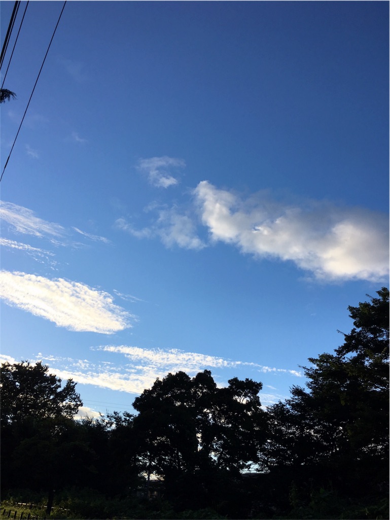 f:id:beauty-sky:20160819183337j:image