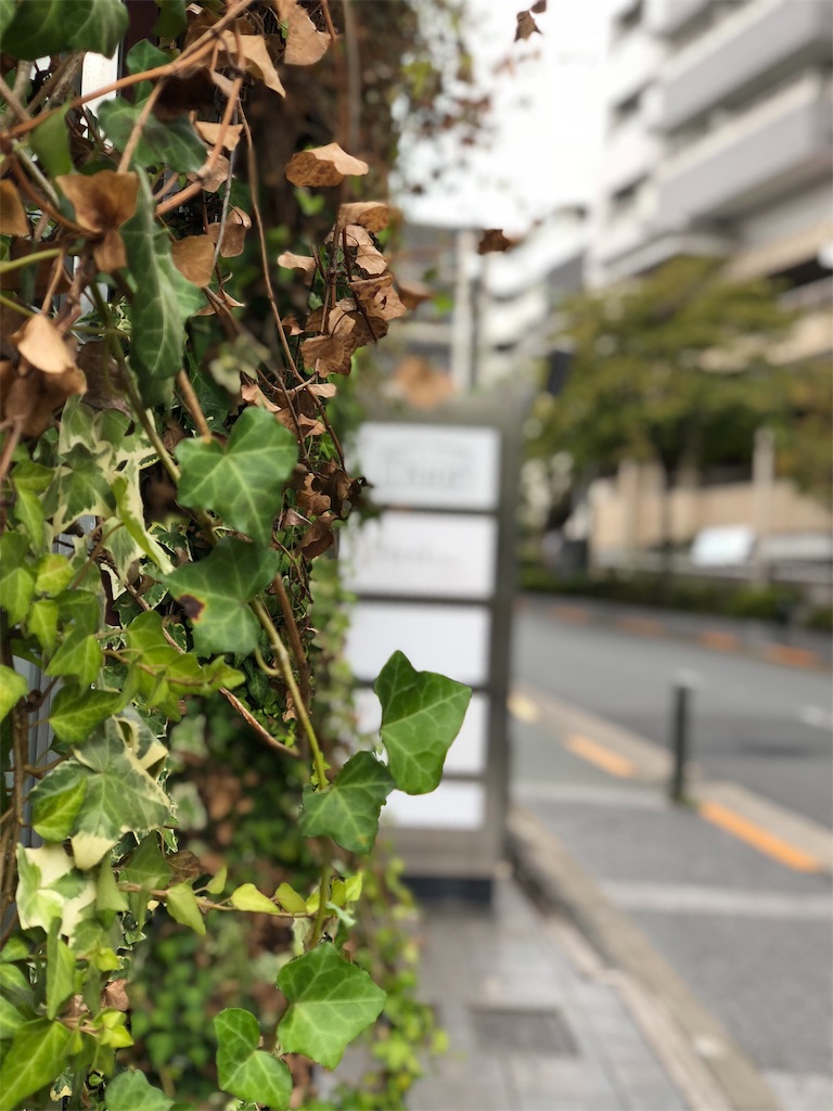 f:id:beauty-sky:20181011002709j:image f:id:beauty-sky:20181011002709j:image