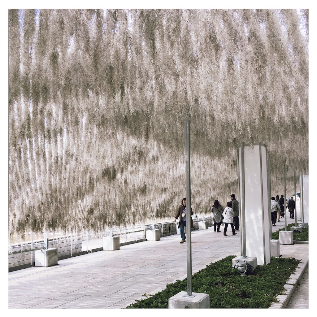 f:id:beauty_diary:20171208231408j:image