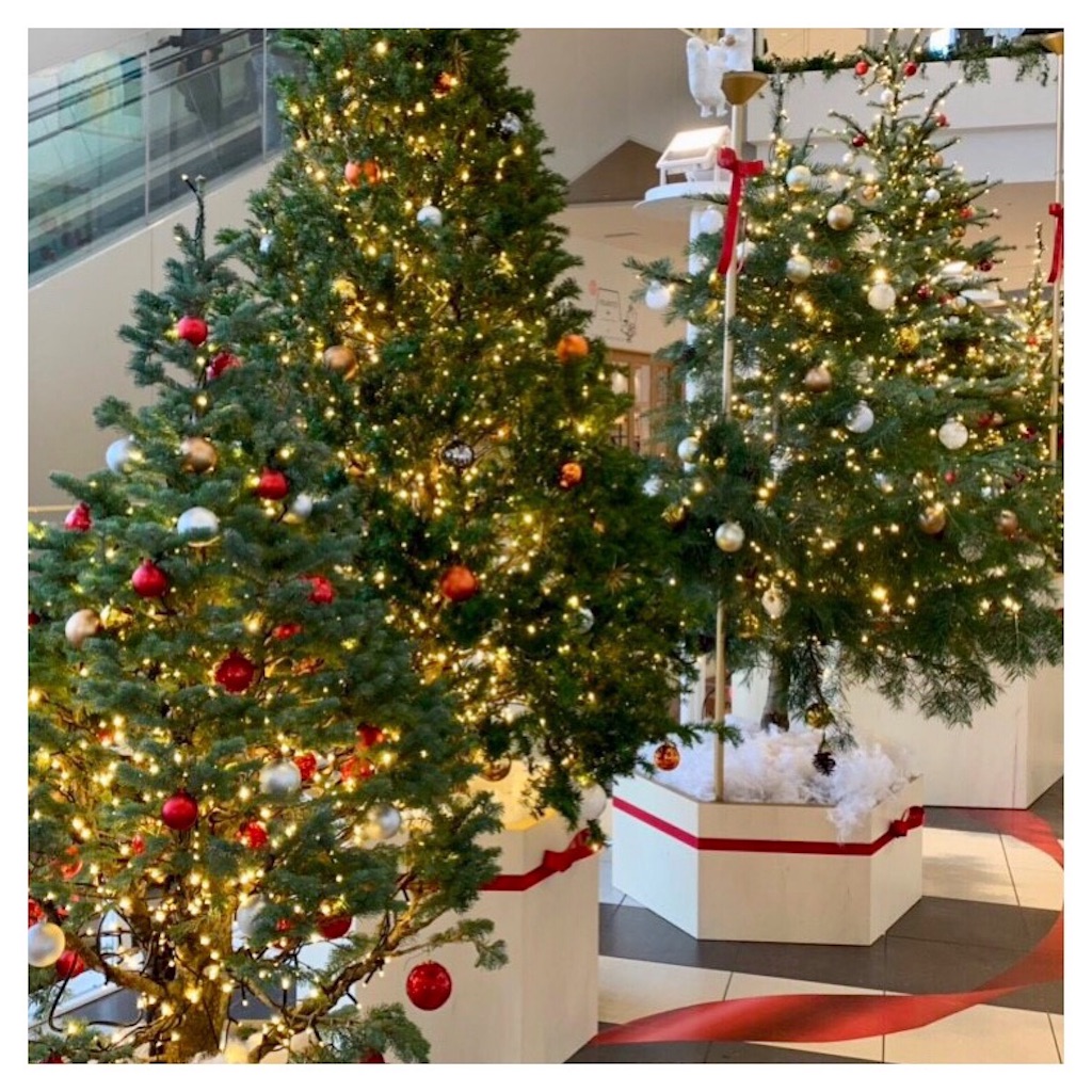 f:id:beauty_diary:20181228124036j:image f:id:beauty_diary:20181228124036j:image