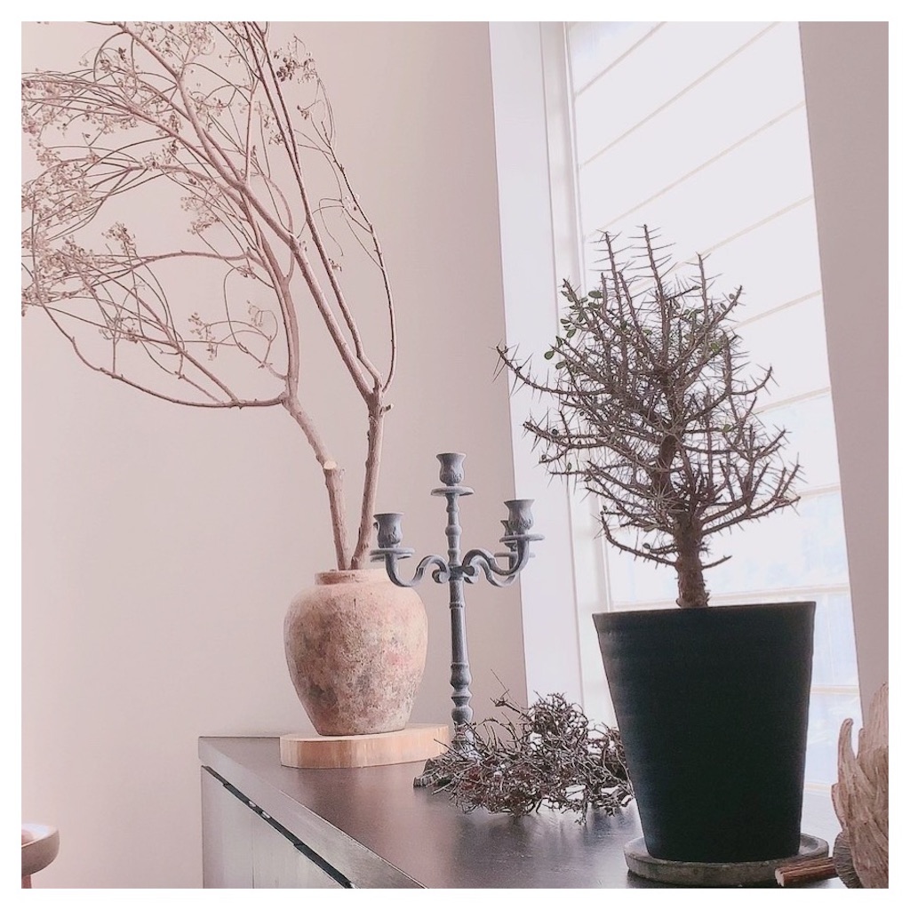 f:id:beauty_diary:20191212013159j:image f:id:beauty_diary:20191212013159j:image