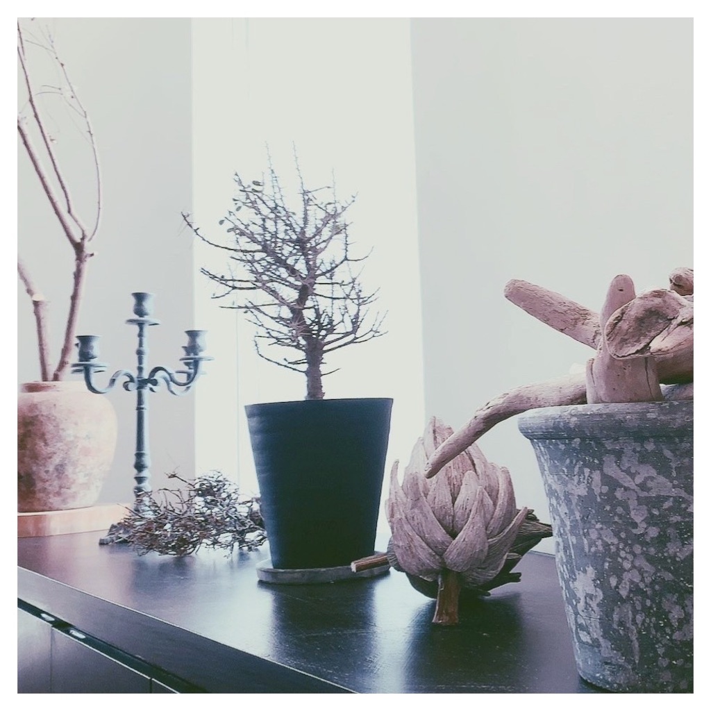 f:id:beauty_diary:20191212013540j:image f:id:beauty_diary:20191212013540j:image