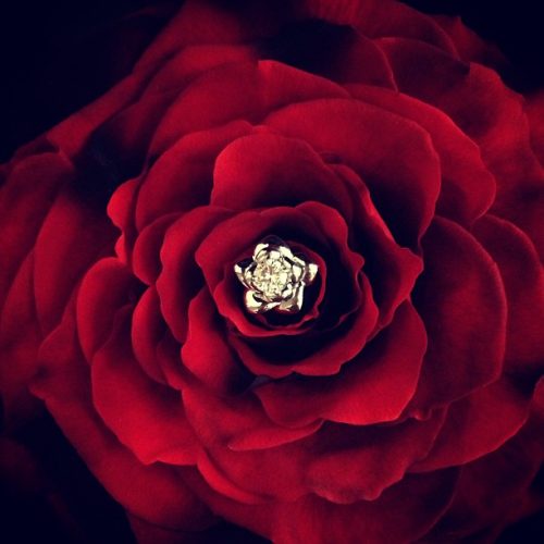 f:id:beautydiamond:20190905215355j:plain