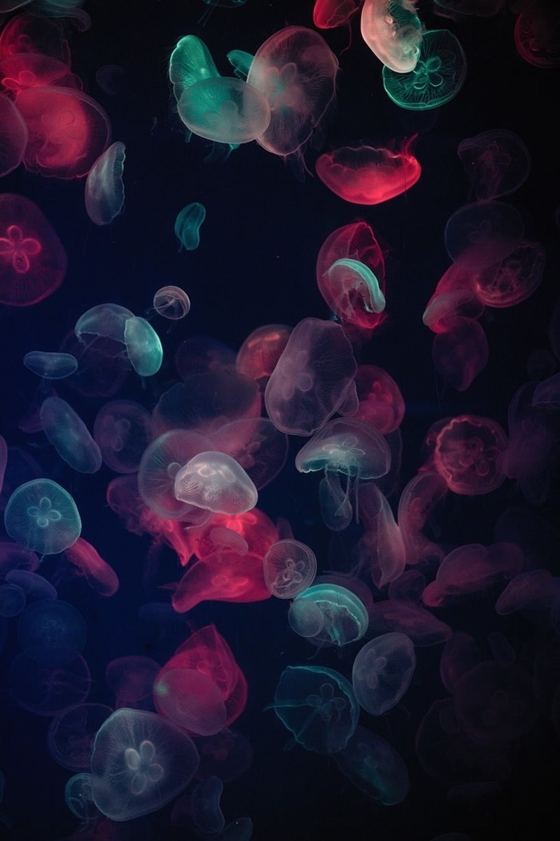 f:id:beautydiamond:20190909011658j:plain