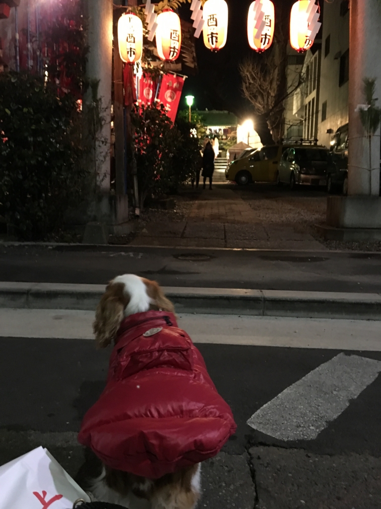 f:id:beautystand:20170101191422j:plain