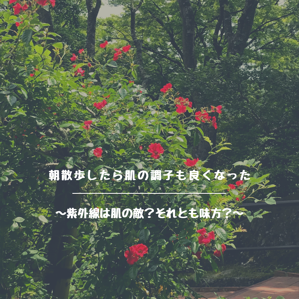 f:id:beautytrigger:20200827143159p:image