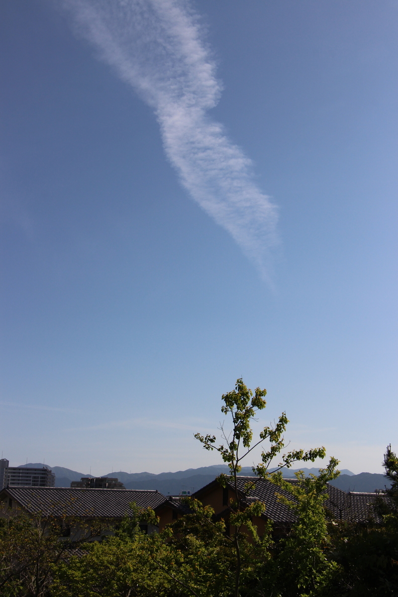 f:id:beaver-barista:20210427202848j:plain