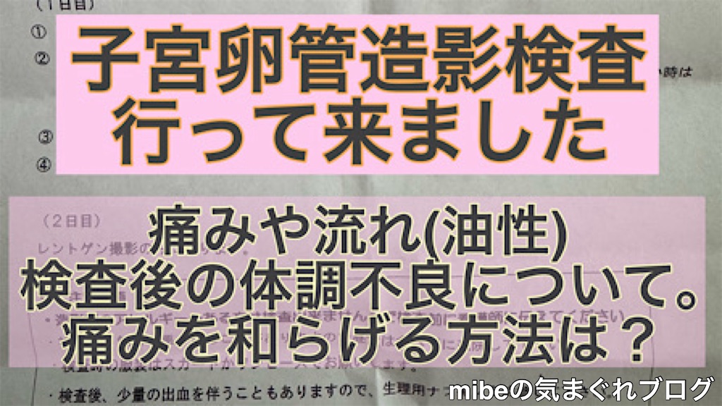 f:id:bebe10m:20240711131915j:image