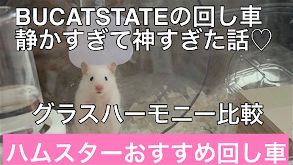 ハムスターの回し車おすすめ！静かで安定感があって良し♡うるさいと