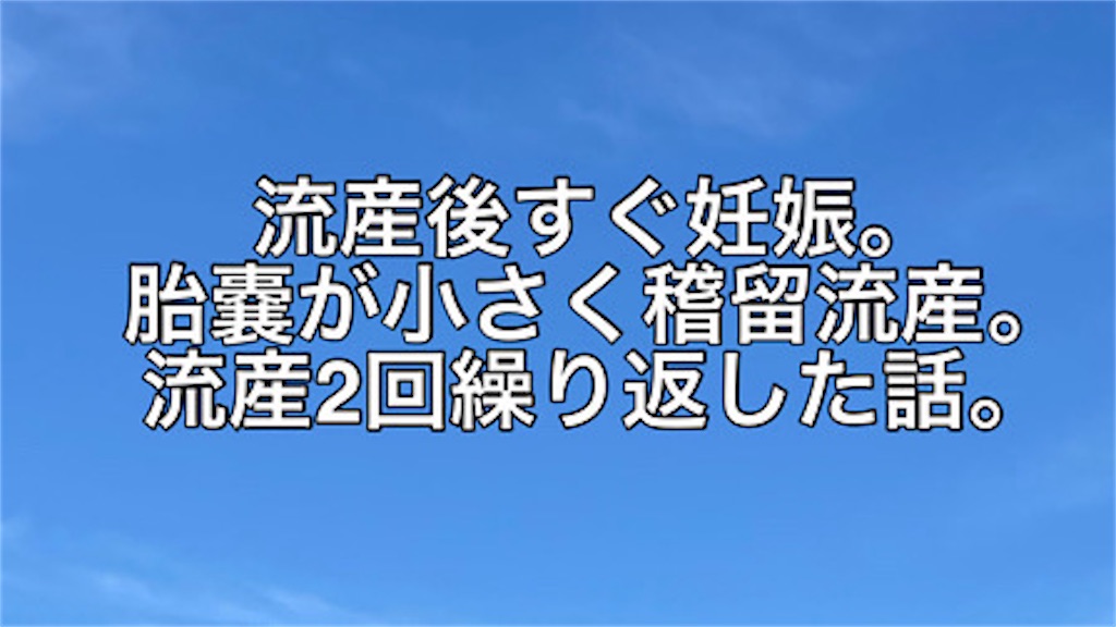 f:id:bebe10m:20250217153425j:image