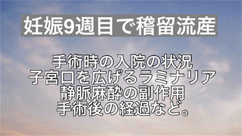 f:id:bebe10m:20250217161341j:image