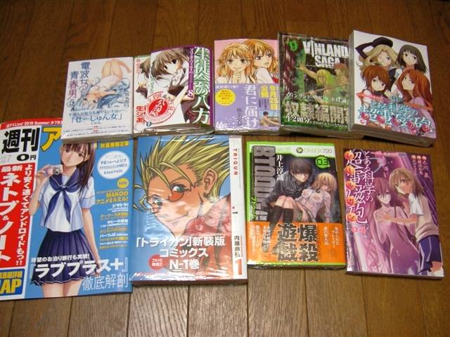 f:id:bebesea:20100627004959j:image