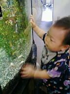 f:id:bebian91:20060813122215j:image f:id:bebian91:20060813122215j:image