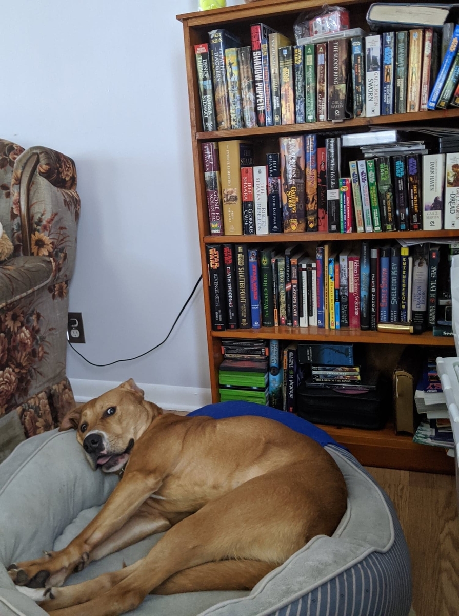 f:id:bebopcharlie:20200605234734j:plain