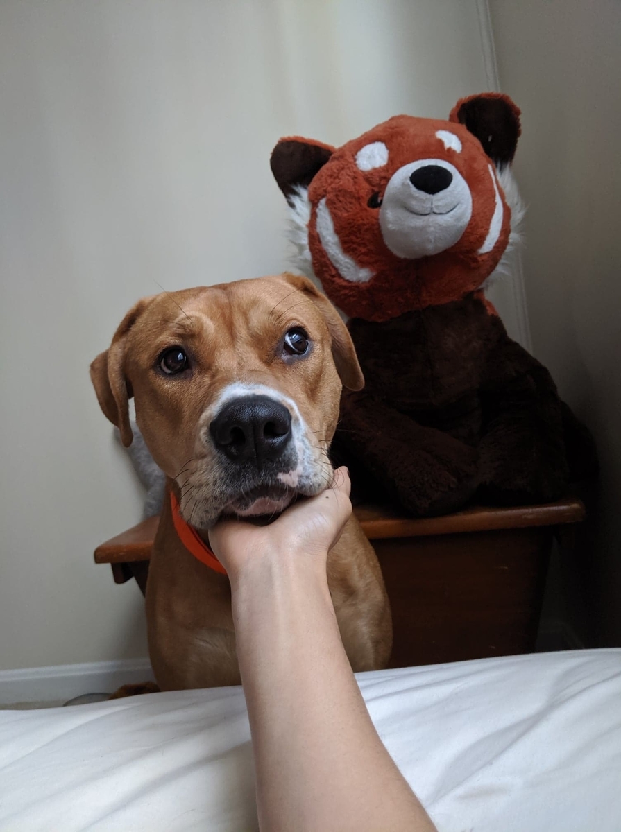 f:id:bebopcharlie:20200605234801j:plain