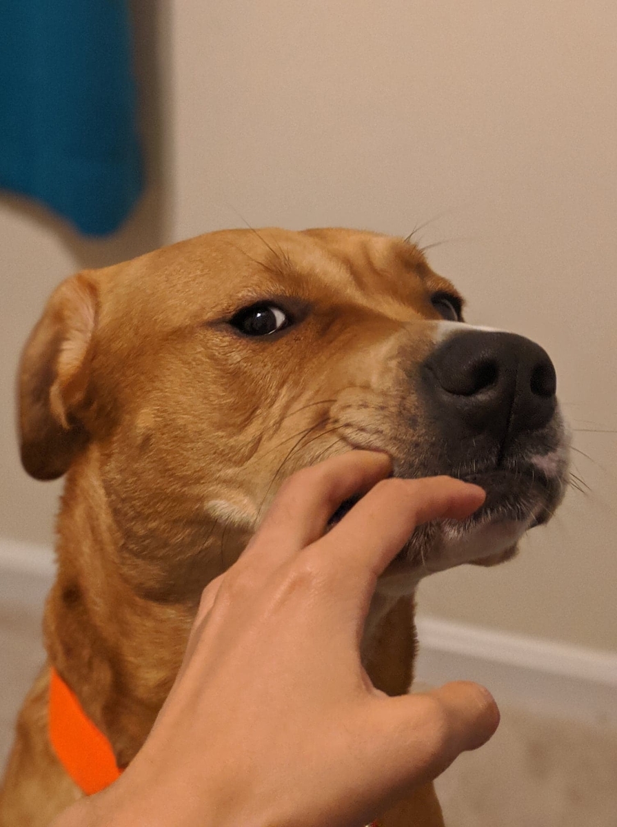 f:id:bebopcharlie:20200605234830j:plain