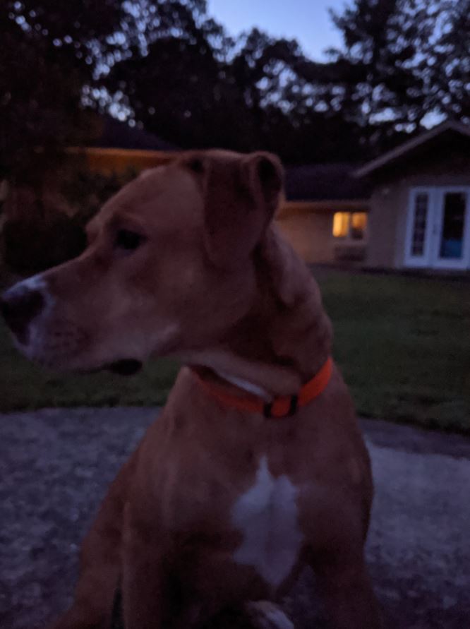 f:id:bebopcharlie:20200907012903j:plain