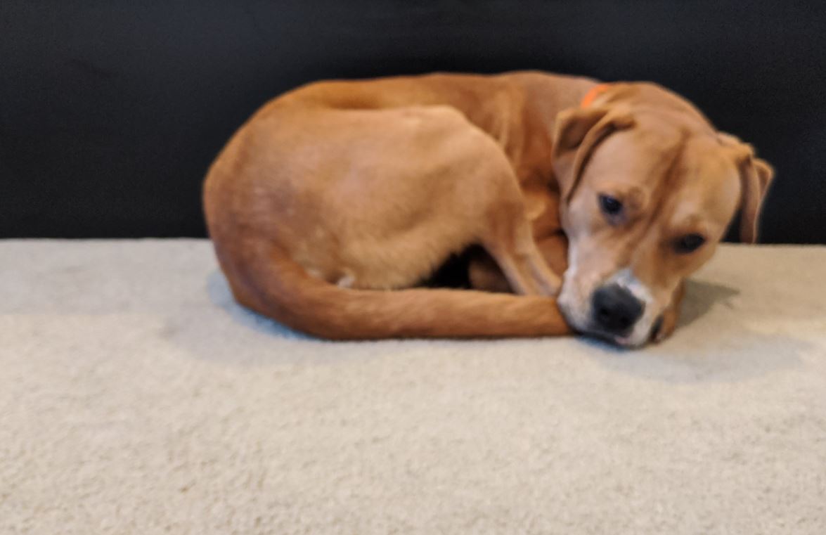 f:id:bebopcharlie:20200907020349j:plain