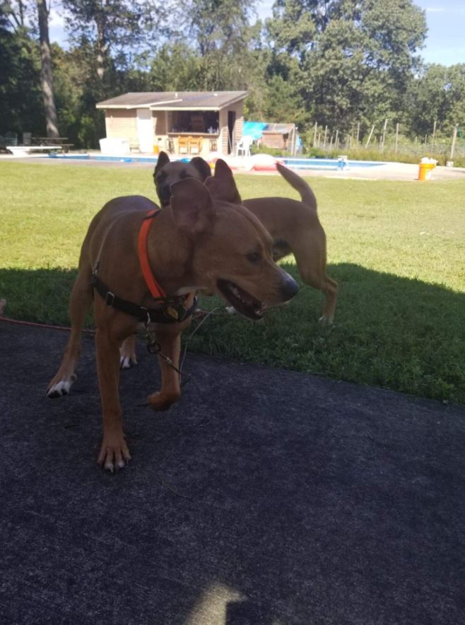 f:id:bebopcharlie:20200907020723j:plain