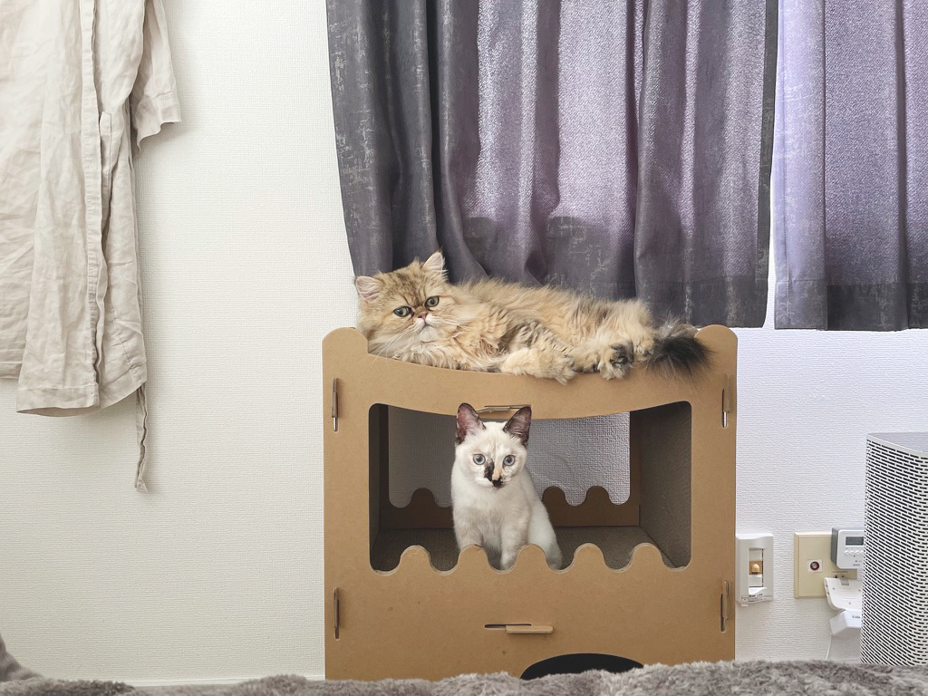 f:id:becchiy:20210918211932p:plain