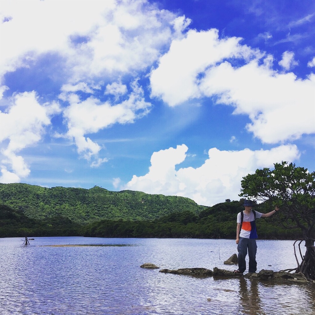 f:id:becr64:20200519170755j:image