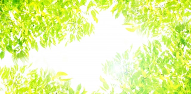 f:id:bee-dog:20210406190129j:plain