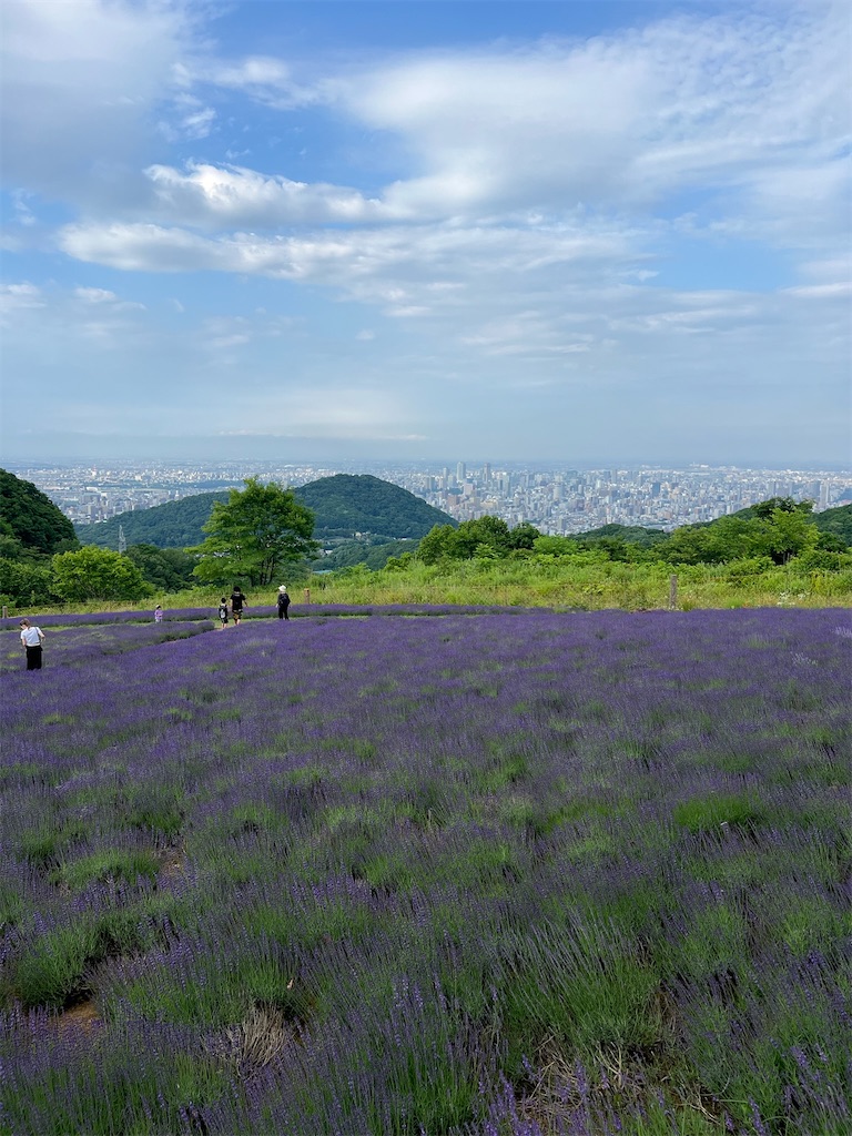 f:id:bee_cafelog:20260625102516j:image f:id:bee_cafelog:20260625102516j:image