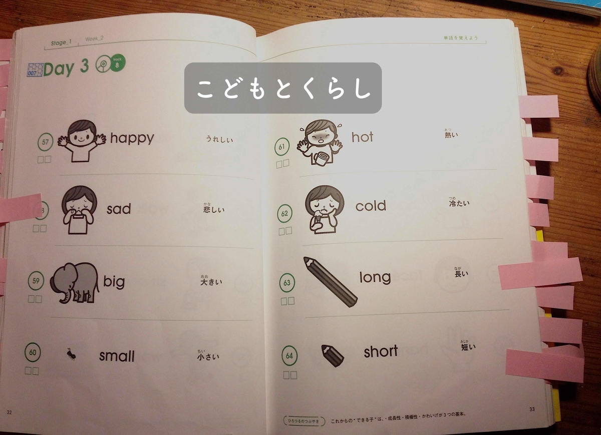 f:id:beeandflower:20200327205503j:plain f:id:beeandflower:20200327205503j:plain