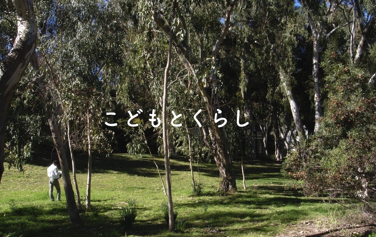 f:id:beeandflower:20200416121413j:plain f:id:beeandflower:20200416121413j:plain