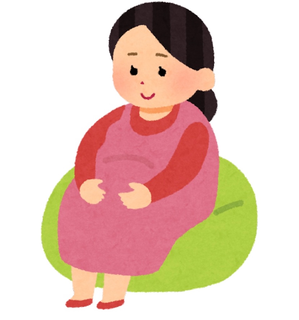 f:id:beeeechanmama:20230119135521j:image
