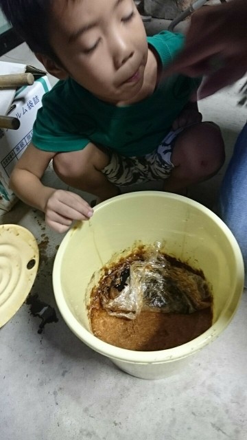 f:id:beeeee1600:20190930092411j:image
