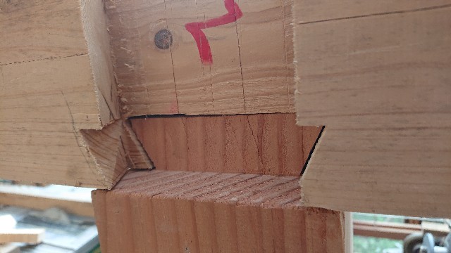 f:id:beeeee1600:20200819100241j:image