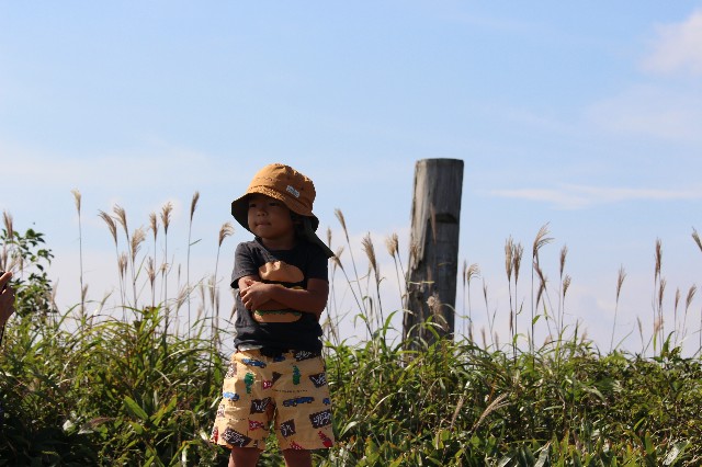 f:id:beeeee1600:20211030173919j:image