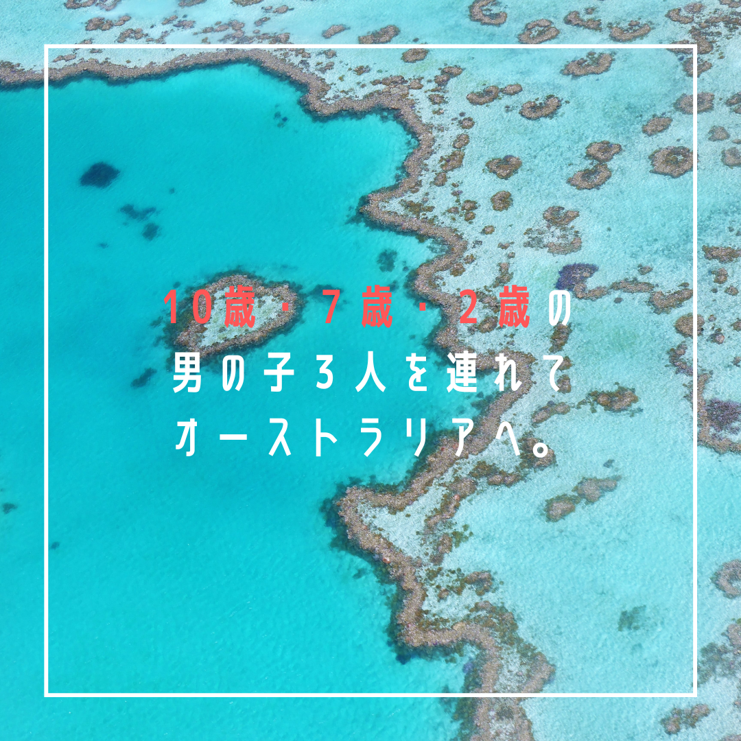 spectator 個人旅行って何だ？ spectator 個人旅行って何だ？