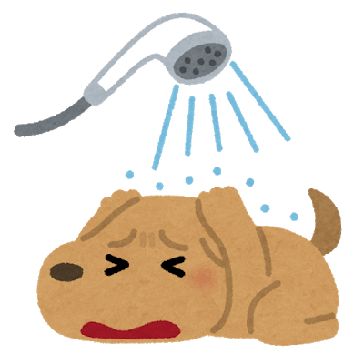 f:id:beef_100percent:20200502213909p:plain